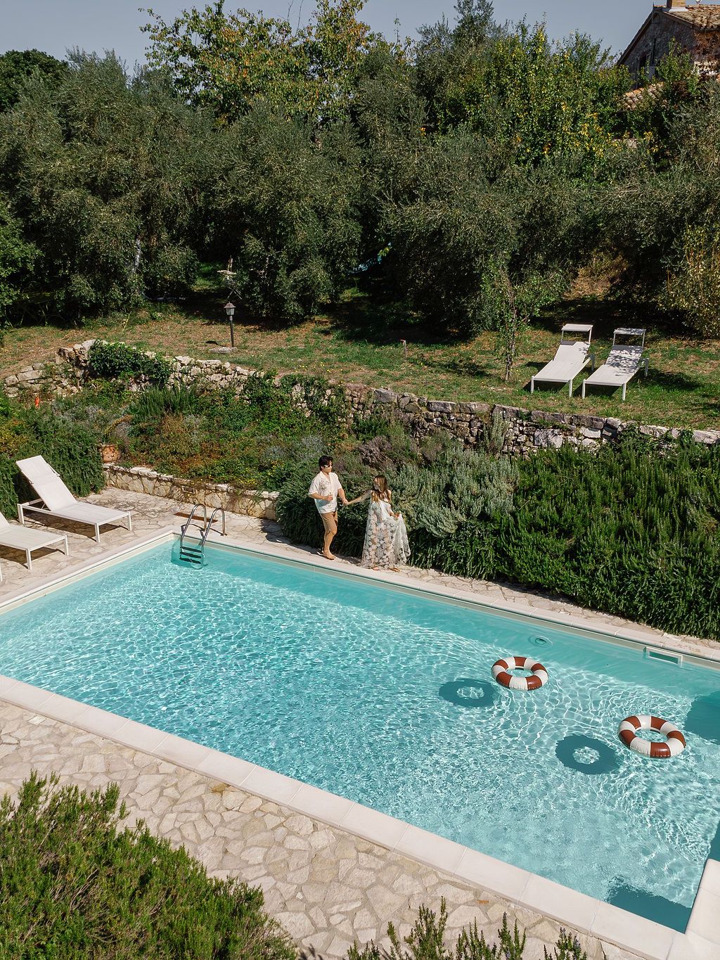 Tranquil swimming pool with stone patio surrounded by olive trees and lush greenery in a rustic Tuscan setting.
