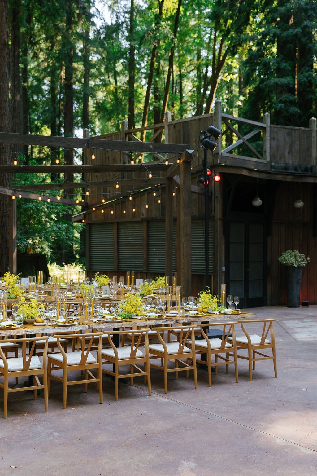 Long wooden tables with string lights overhead create an enchanting outdoor dining setup in a wooded setting.