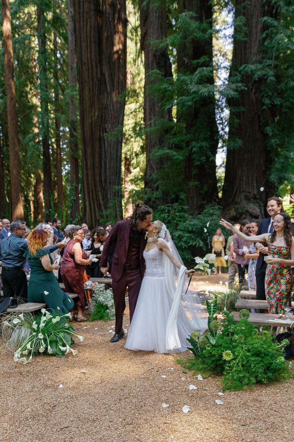 A wedding celebration takes place in a serene redwood forest setting with guests gathered along a path.