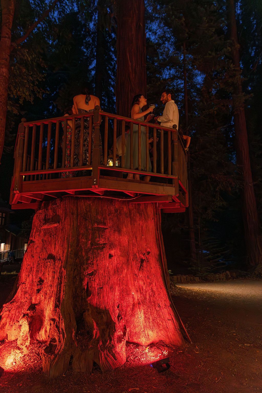 Large tree stumps illuminated with dramatic red lighting create a mystical nighttime scene.