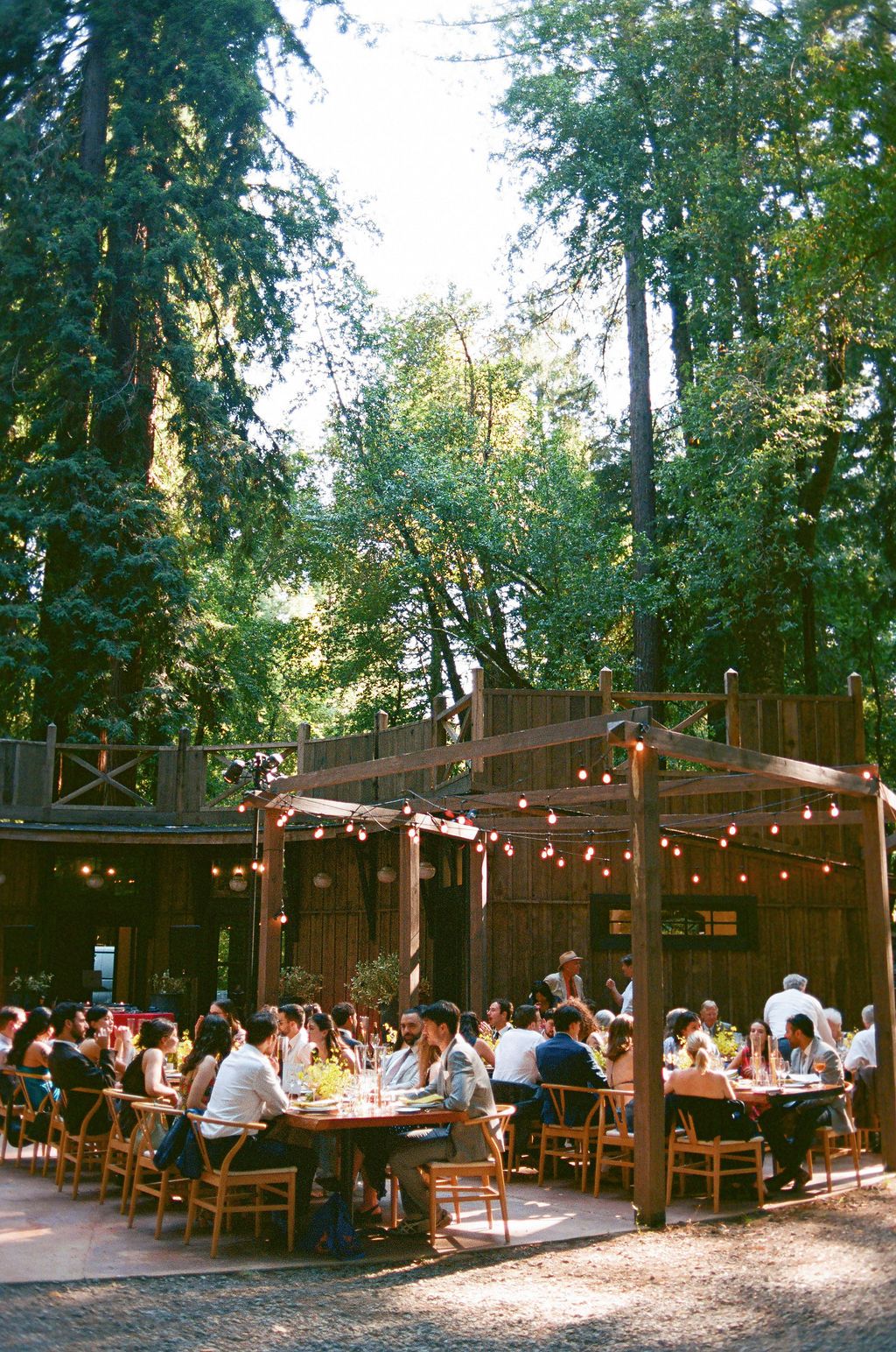 String lights illuminate an outdoor dining area in a wooded setting with guests seated at rustic wooden tables.