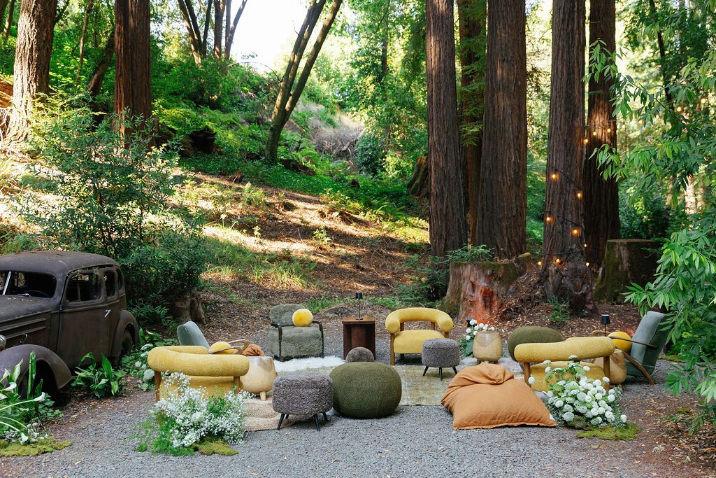 Outdoor seating area in a redwood forest with yellow cushions and vintage furniture.