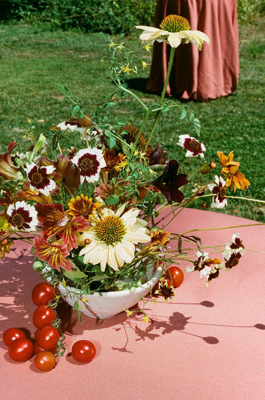 Fresh floral arrangement with daisies and tomatoes on a pink surface creating a rustic centerpiece.