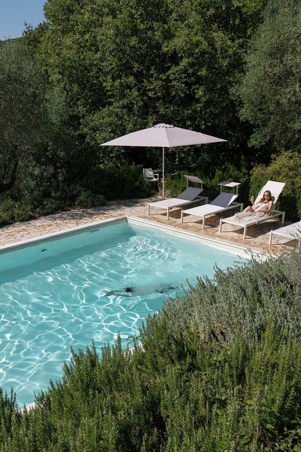 Serene swimming pool with lounge chairs and umbrella surrounded by lush Mediterranean gardens in Tuscany, Italy.