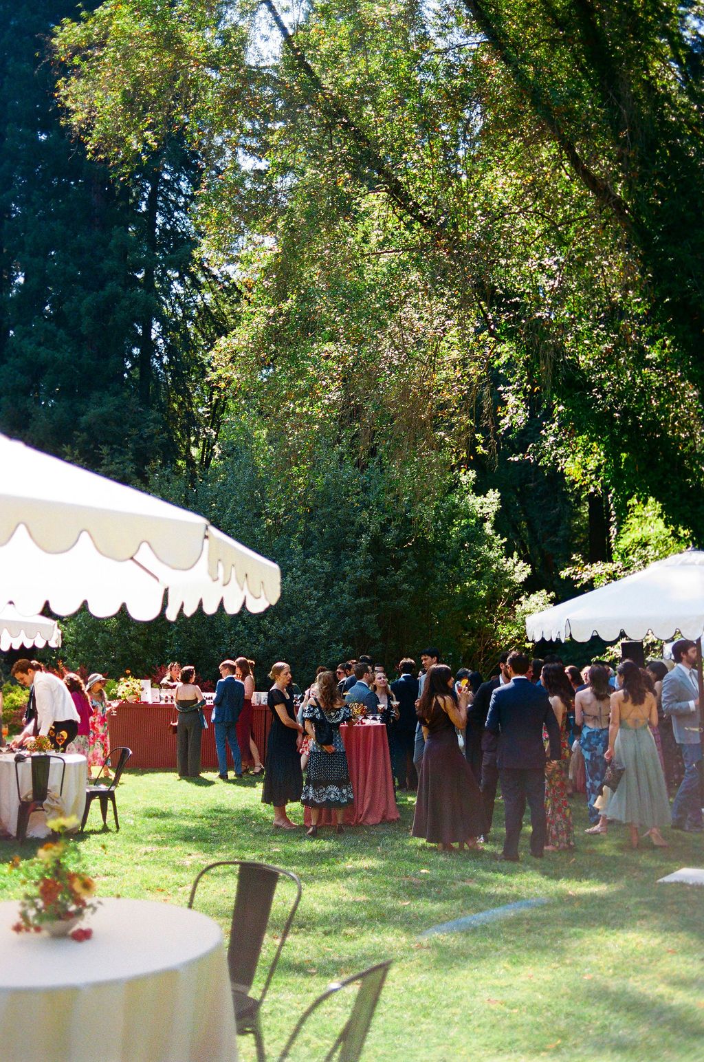 Wedding guests gather under white tents on a sunny lawn during an outdoor reception celebration.