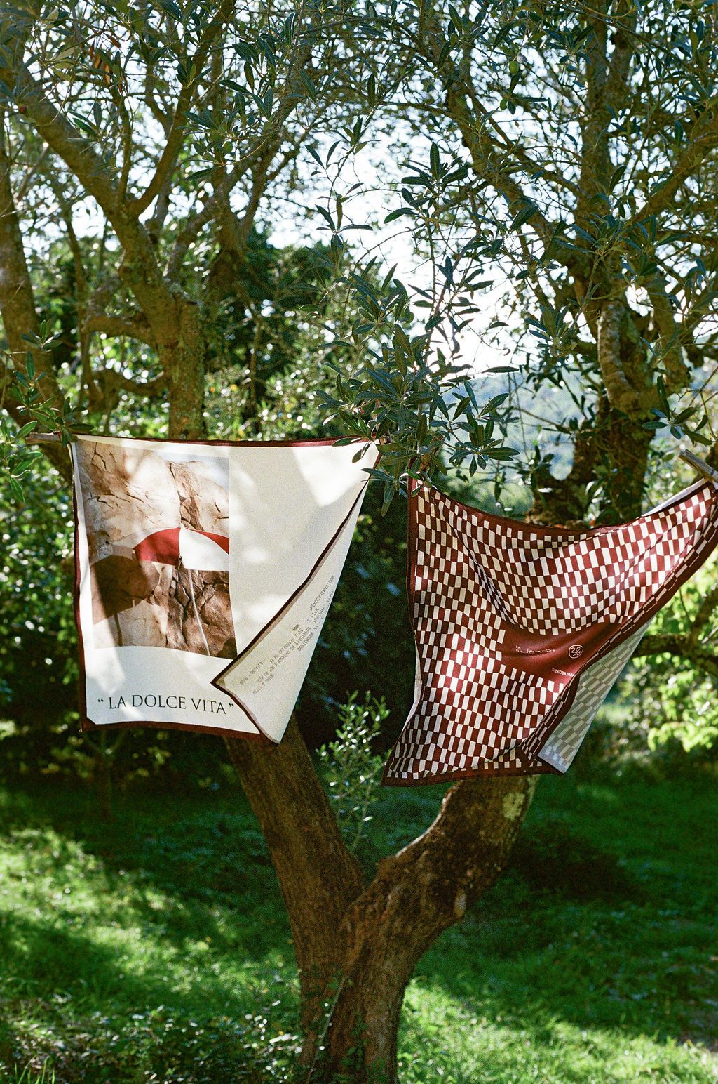 White and red patterned, custom-made silk fabric handkerchiefs hanging on clotheslines on olive trees in Tuscany Italy.