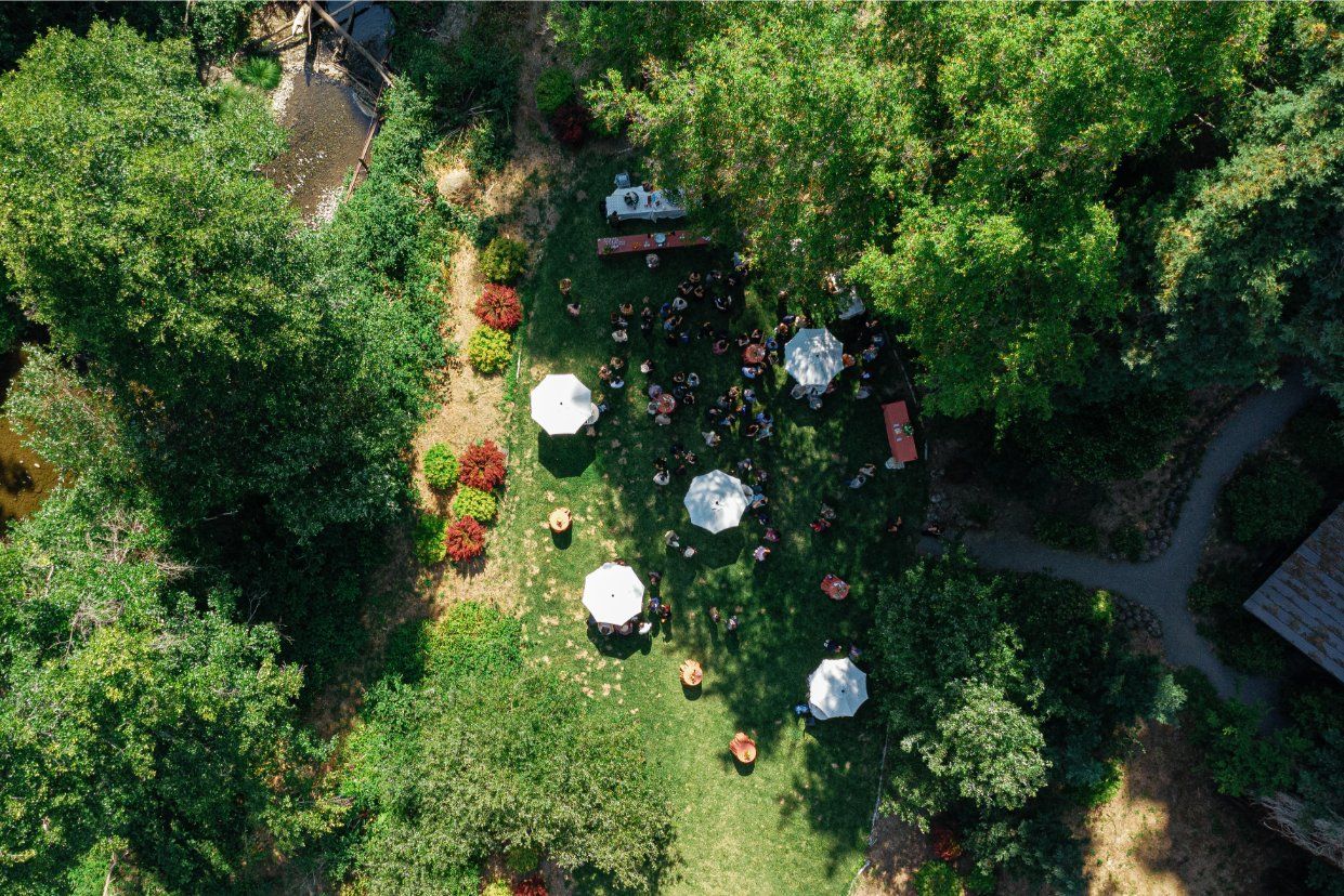 Aerial view of an outdoor garden celebration with white tents and lush greenery.
