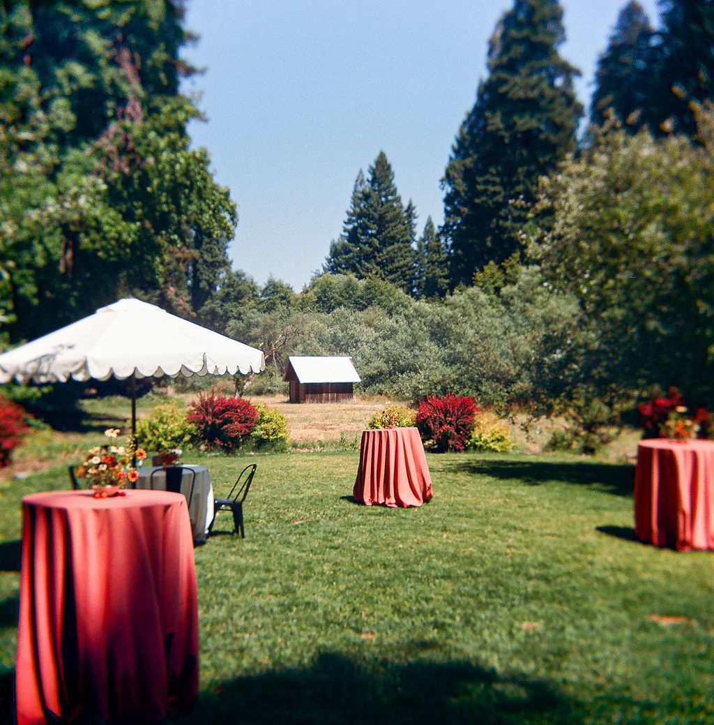 Red tablecloths adorn round tables set up on a grassy lawn with evergreen trees in the background.