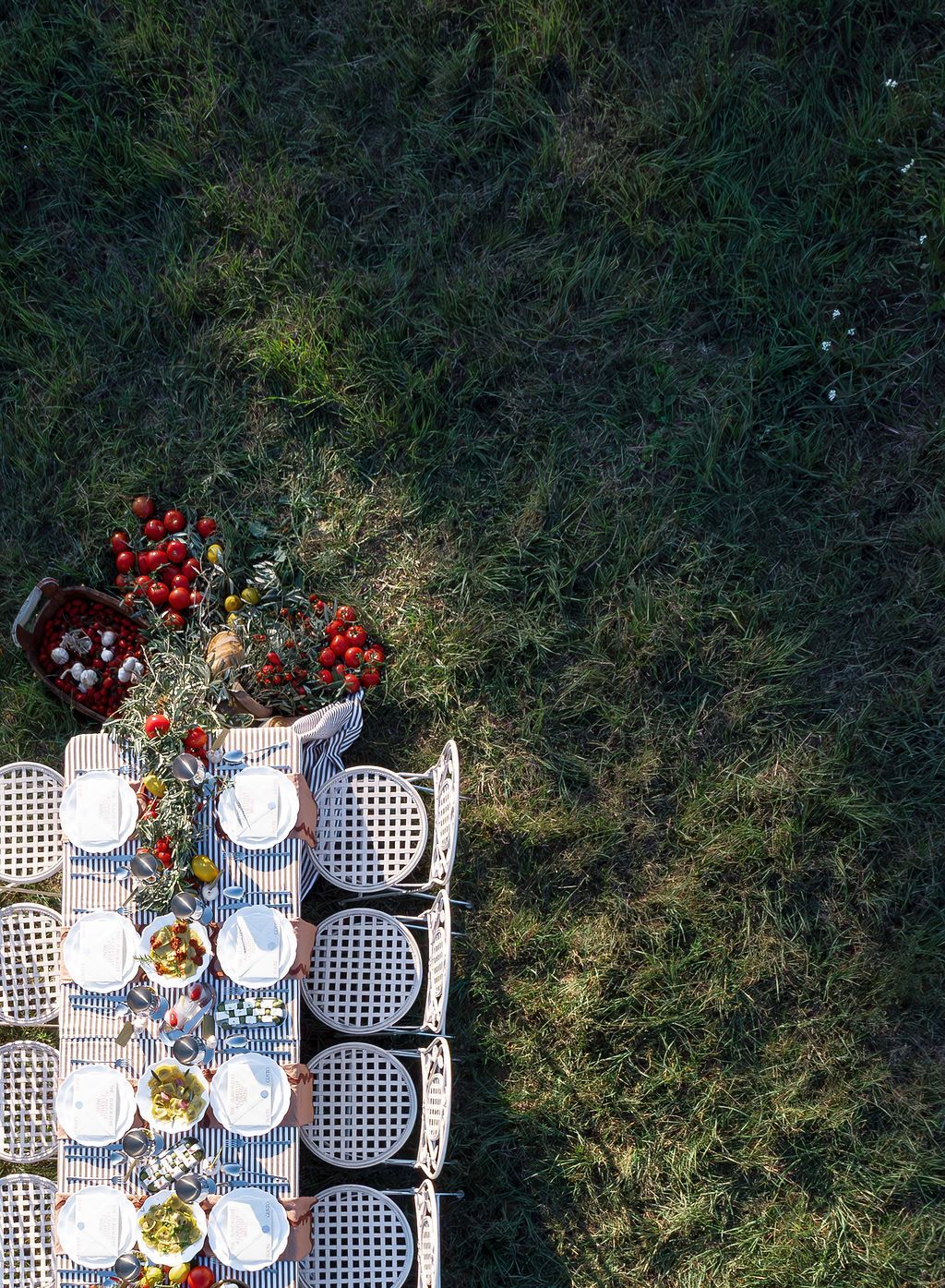 An elegant outdoor table setting with white chairs and red floral arrangements against a lush green backdrop in Tuscany, Italy.
