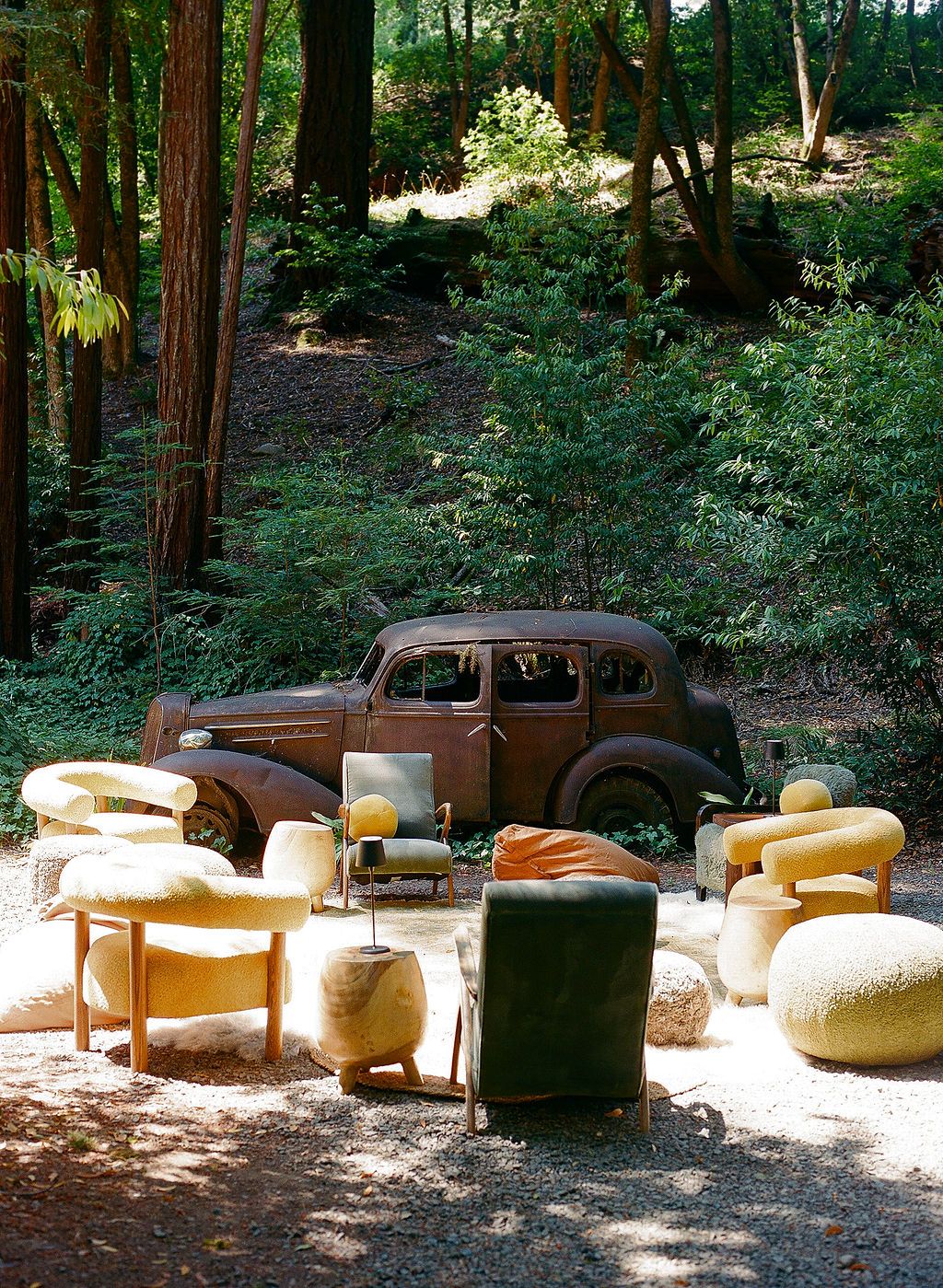 Vintage outdoor lounge area with antique car and cream-colored furniture arranged under redwood trees.