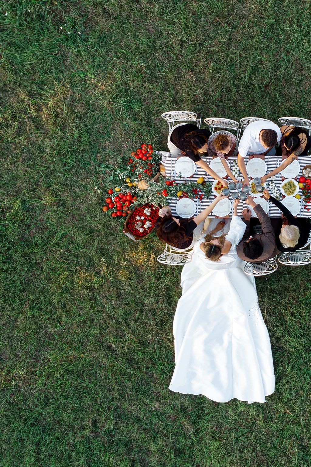Aerial view of wedding party having a picnic on green grass with white dresses and red floral arrangements in Tuscany, Italy.