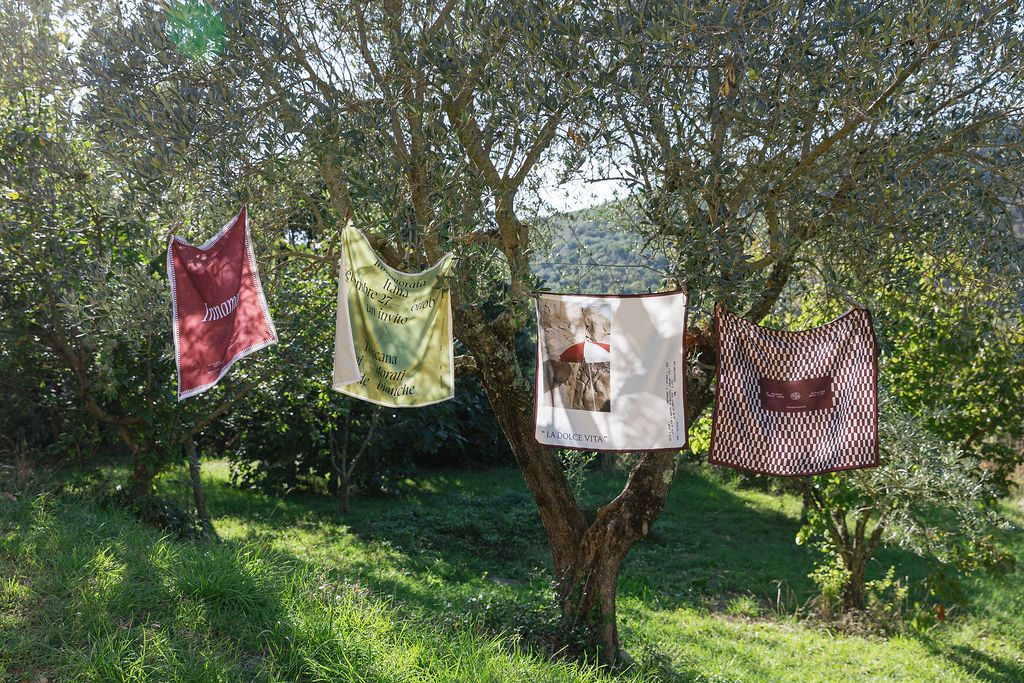 Colorful, custom-made silk fabric handkerchiefs hanging on clotheslines on olive trees in Tuscany Italy.