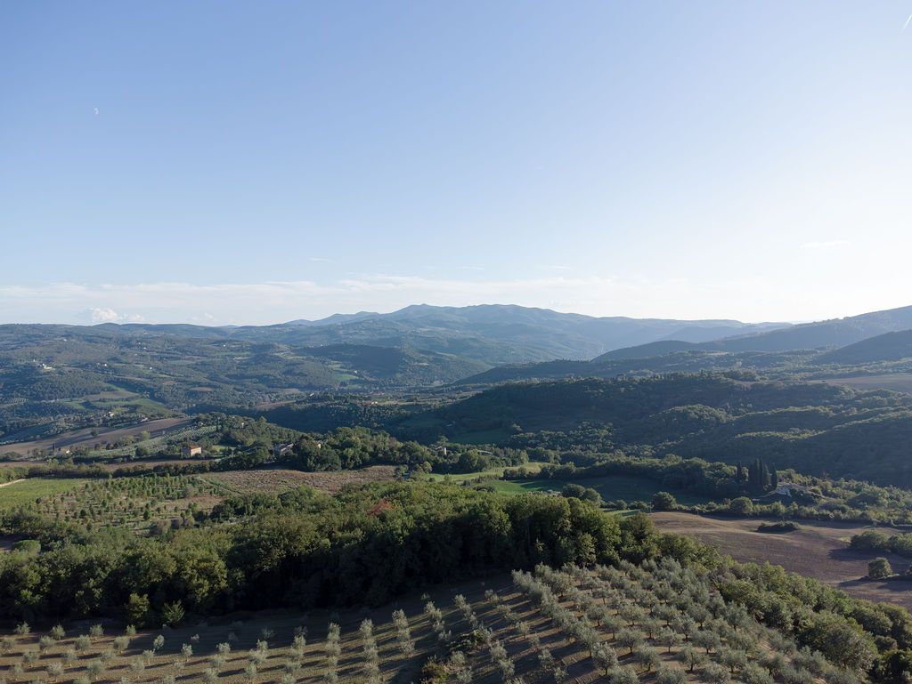 Panoramic landscape view of rolling hills and mountains with olive groves in Tuscany.