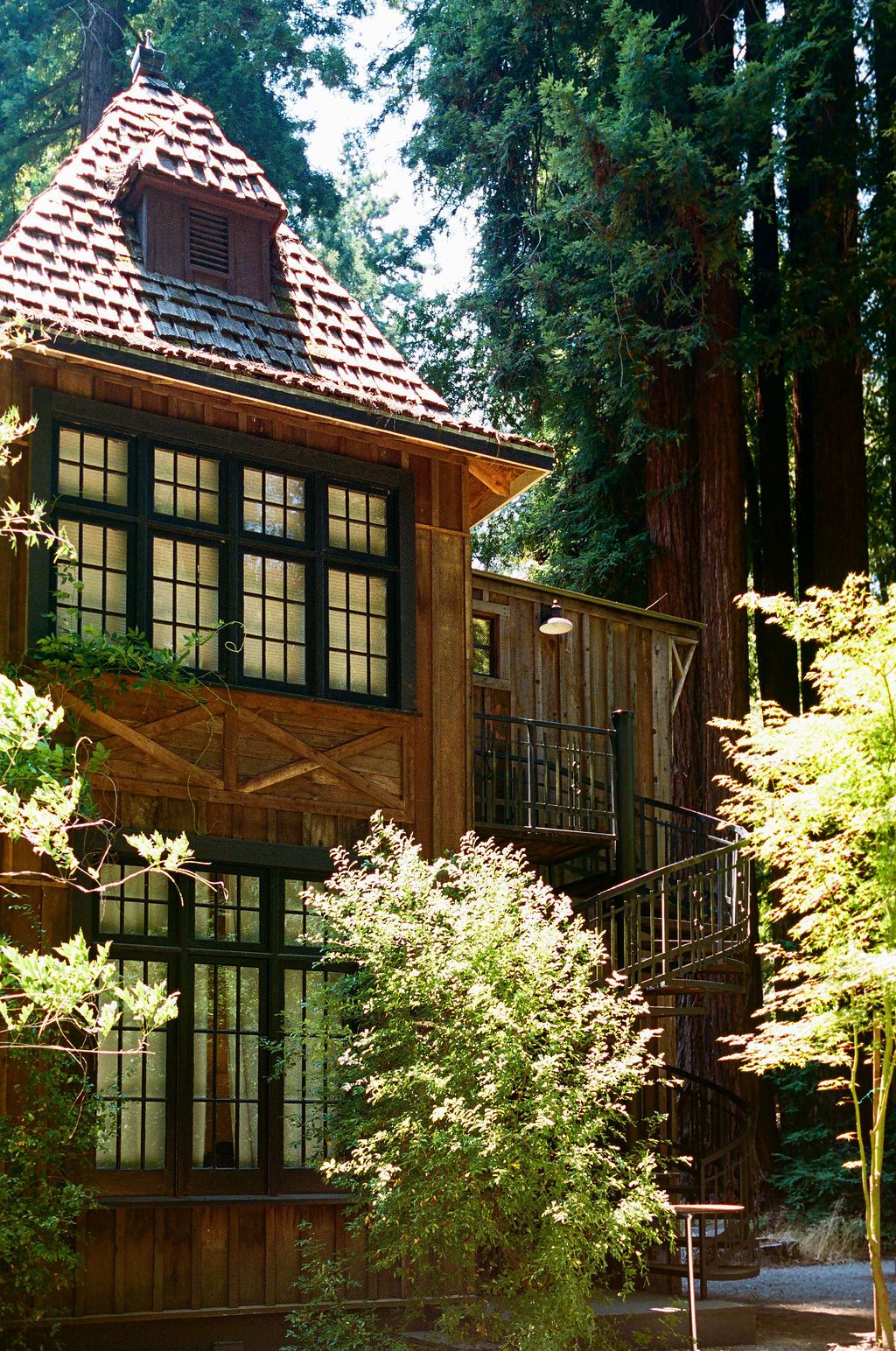 Rustic wooden building with large windows and shingled roof nestled among tall redwood trees in a forest setting in California.