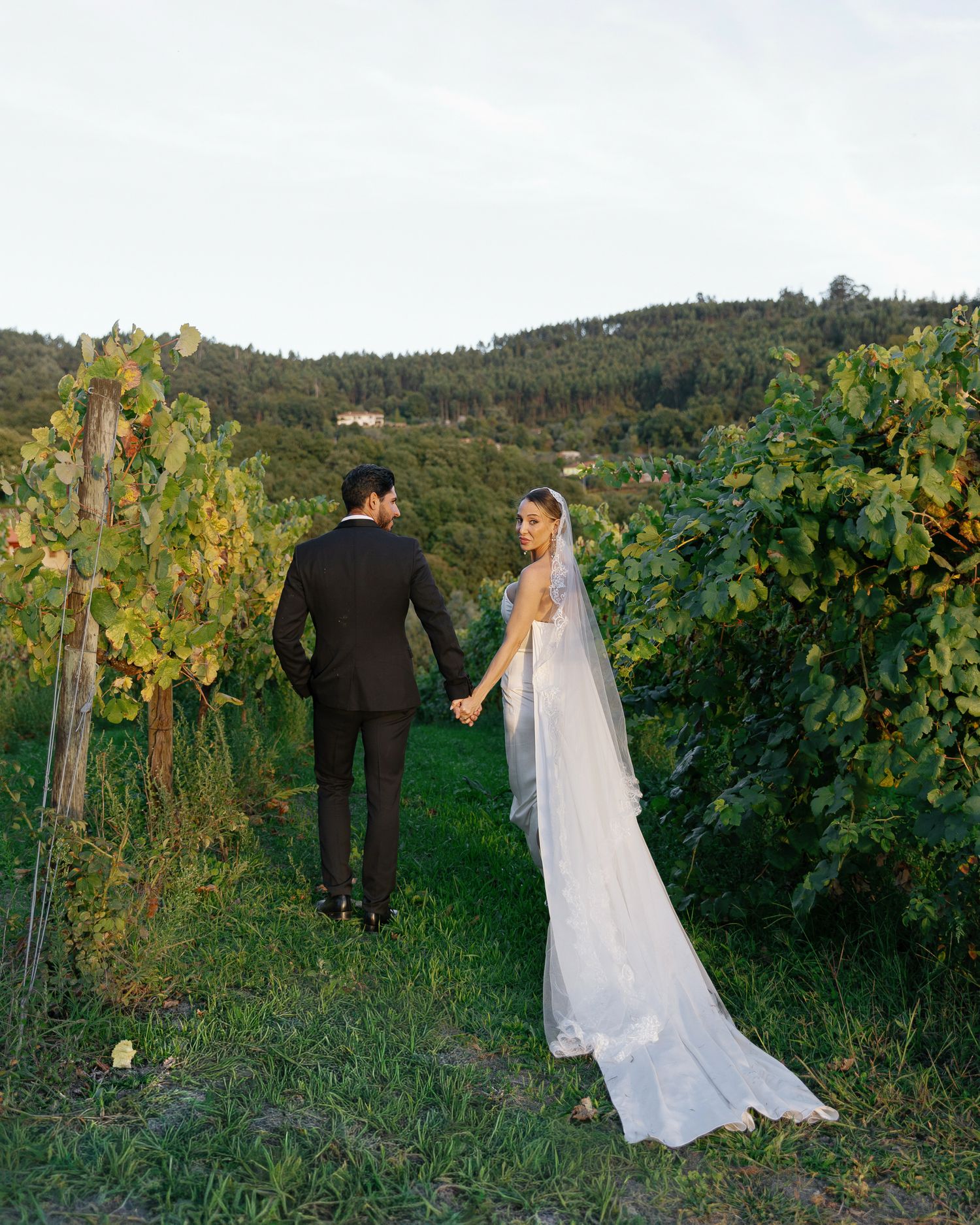 Bride and groom holding hands walking through lush vineyard rows in wedding attire with veil trailing.