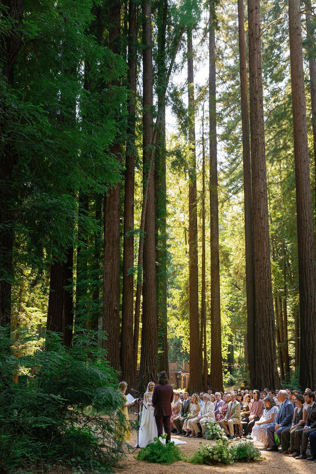 Wedding ceremony setup in a serene redwood forest with rows of white chairs and natural sunlight in California.