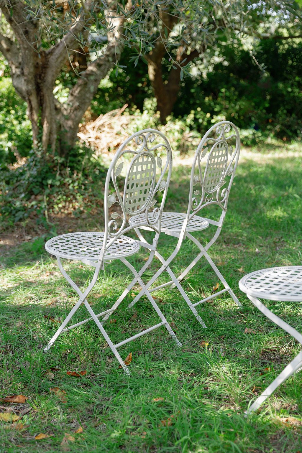 White ornate metal garden chairs arranged on grass under shady trees in Tuscany, Italy.