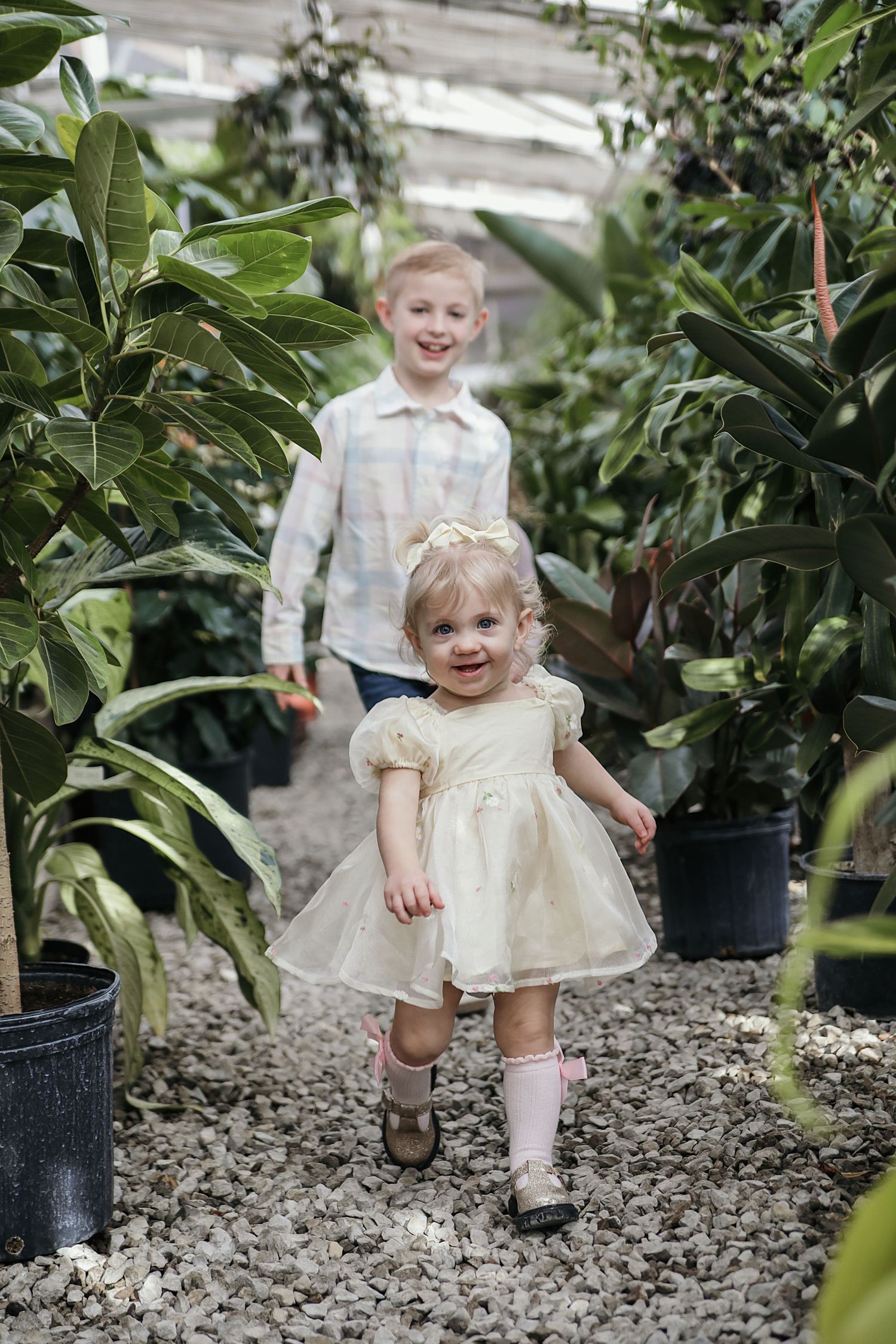 Children wearing light-colored formal outfits stand among potted plants in a greenhouse setting.