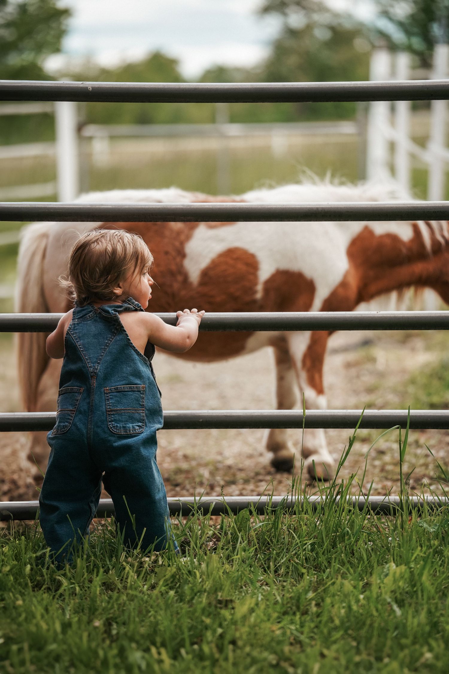 Child in denim sits by wooden fence watching horses graze in a peaceful pasture setting at sunset.