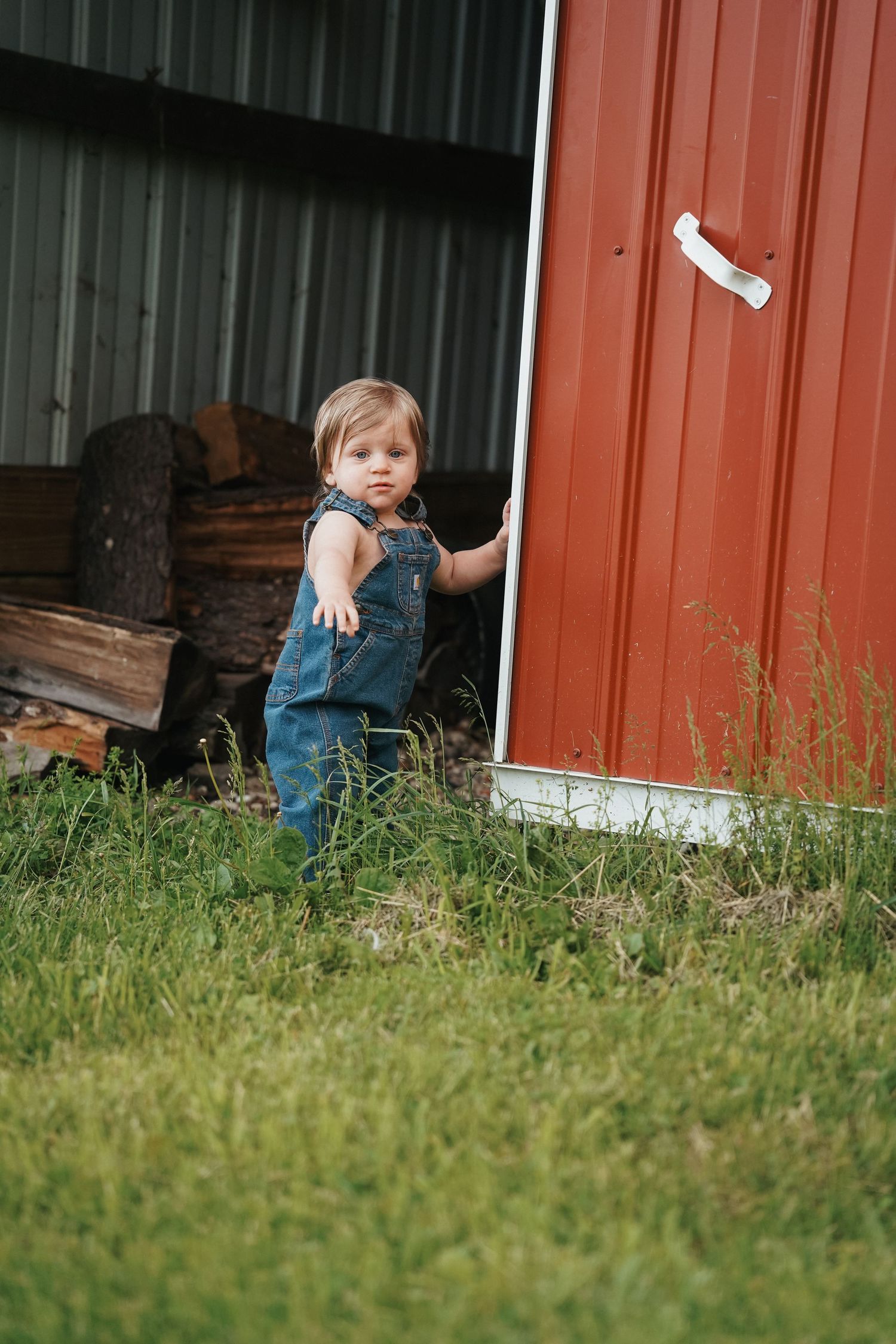 Small child in denim overalls stands next to red barn wall with woodpile, against grassy rural backdrop.