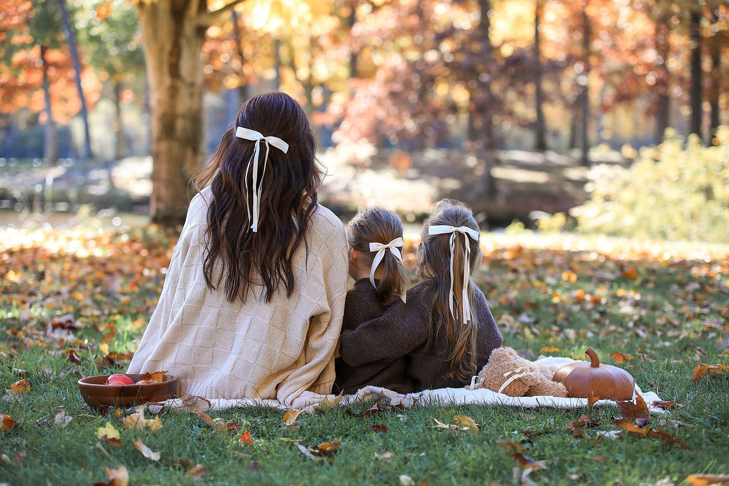 Autumn picnic scene with person and child sitting on blanket with matching bows.  Family Photography in Medina Ohio