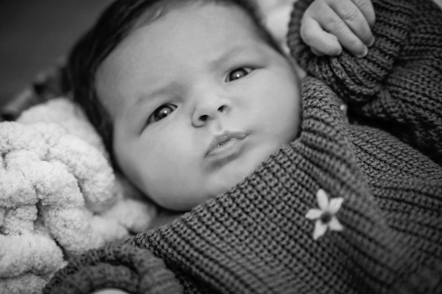 Black and white portrait of a baby wearing a knit sweater looking up at the camera with a curious expression.