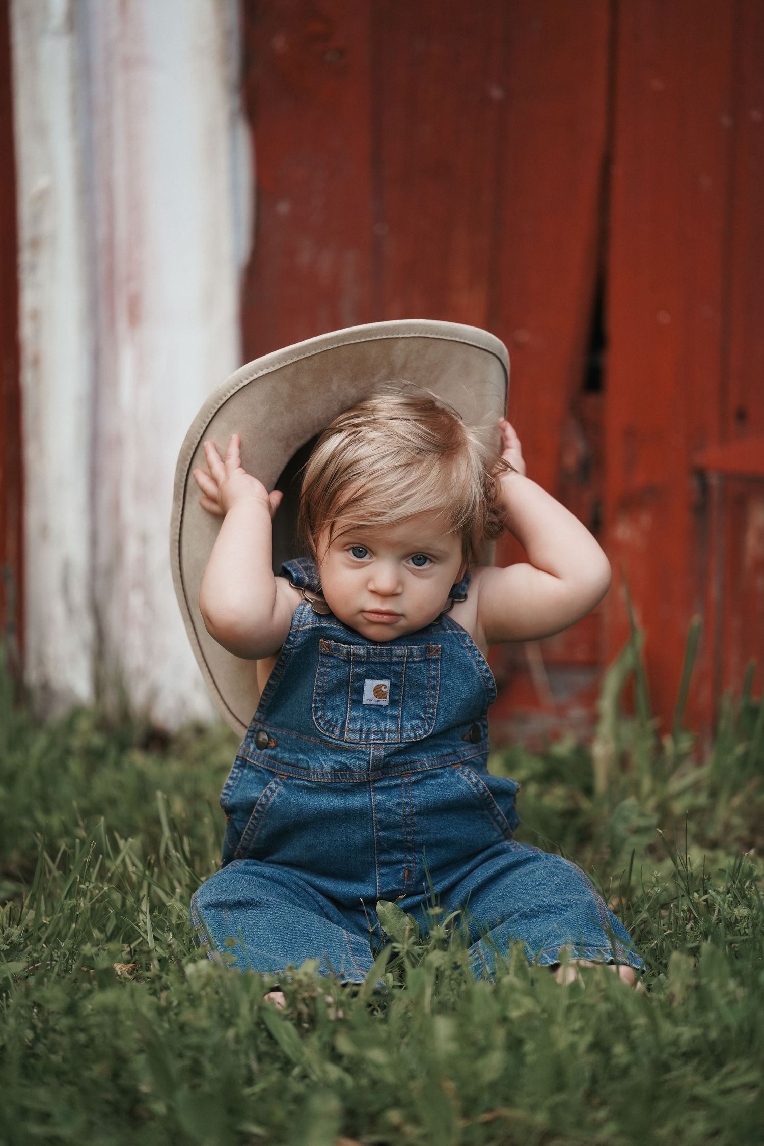A toddler wearing denim overalls sits in green grass near a red barn wall.  Family Photography in Medina Ohio.