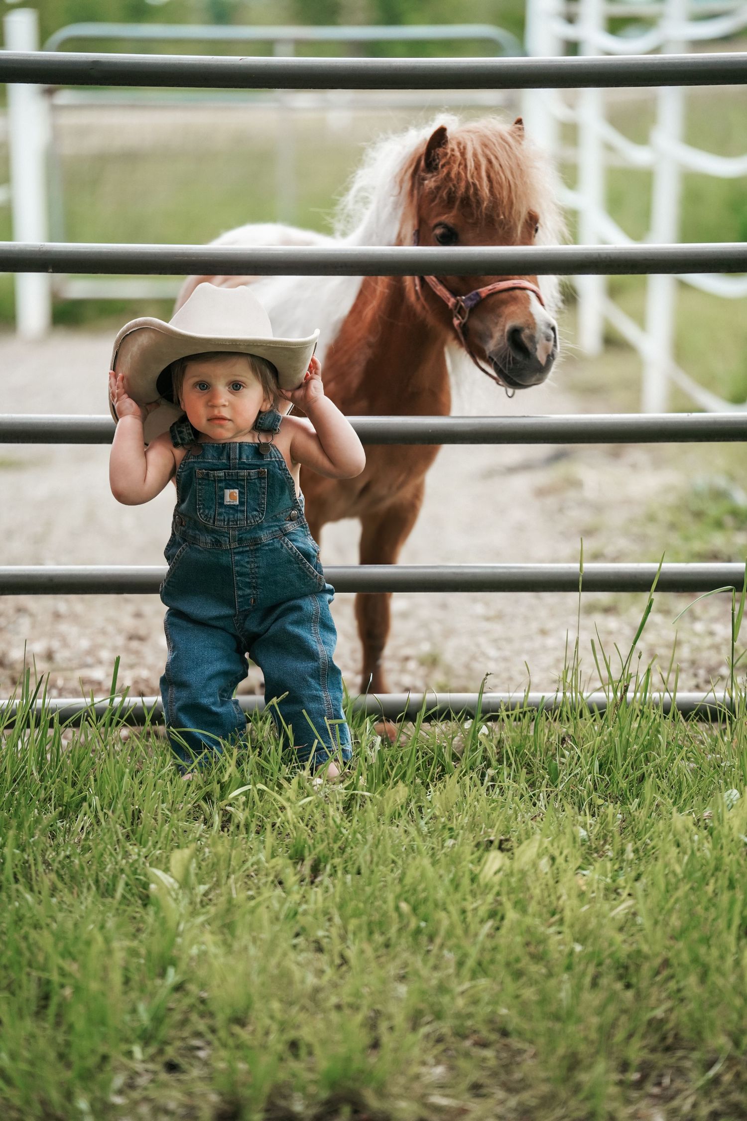 Toddler in overalls and cowboy hat standing by fence with pony peeking through.  Family Photography in Medina Ohio