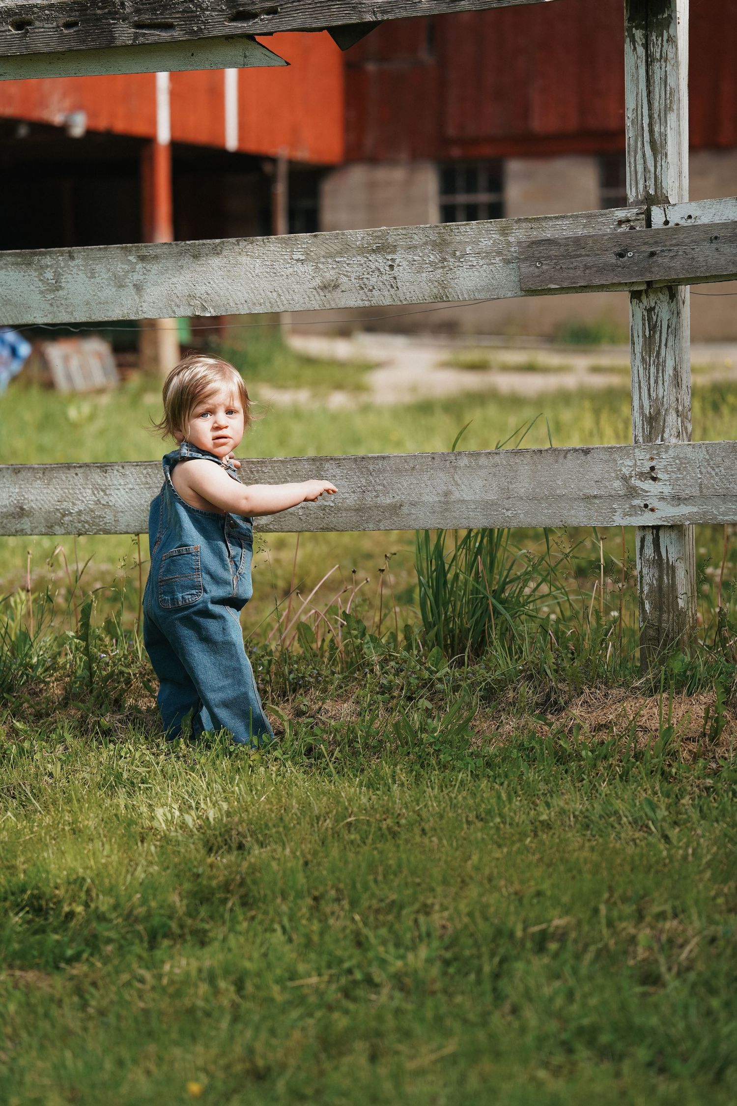 A young child in a blue denim outfit plays by a wooden fence in a grassy field on a sunny day.
