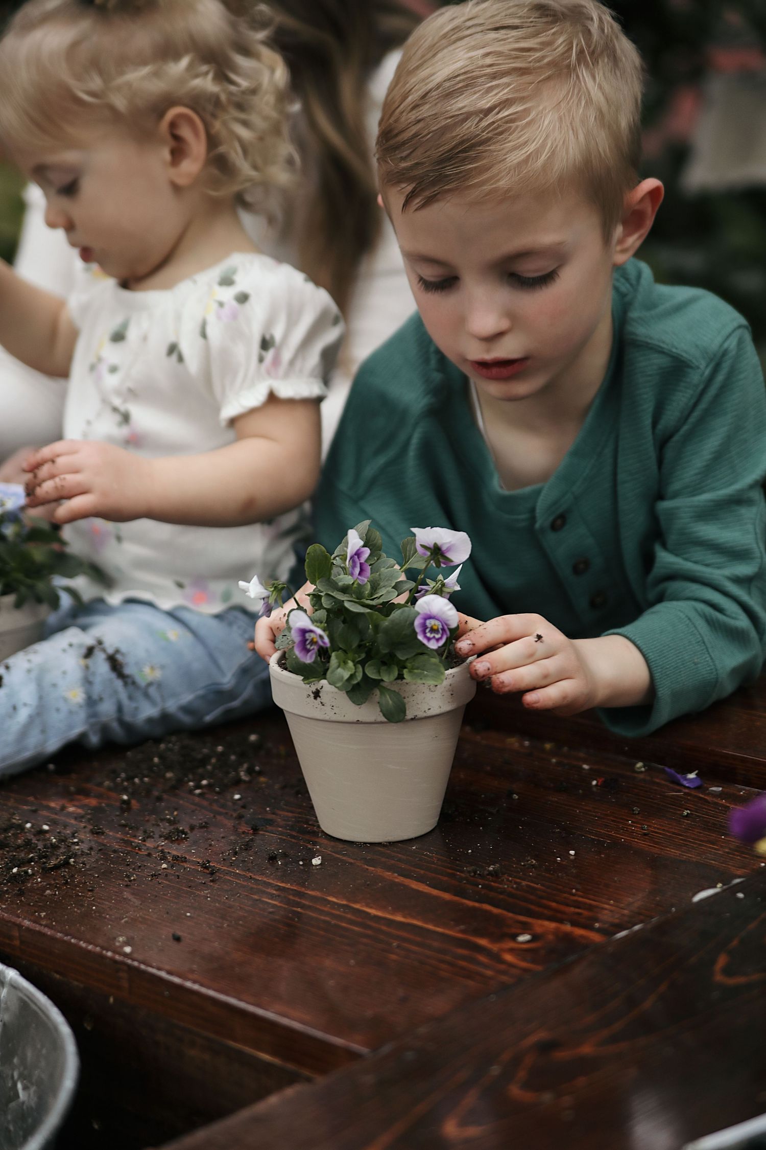 A child in a green sweater carefully examines a small potted plant on a dark wooden table.