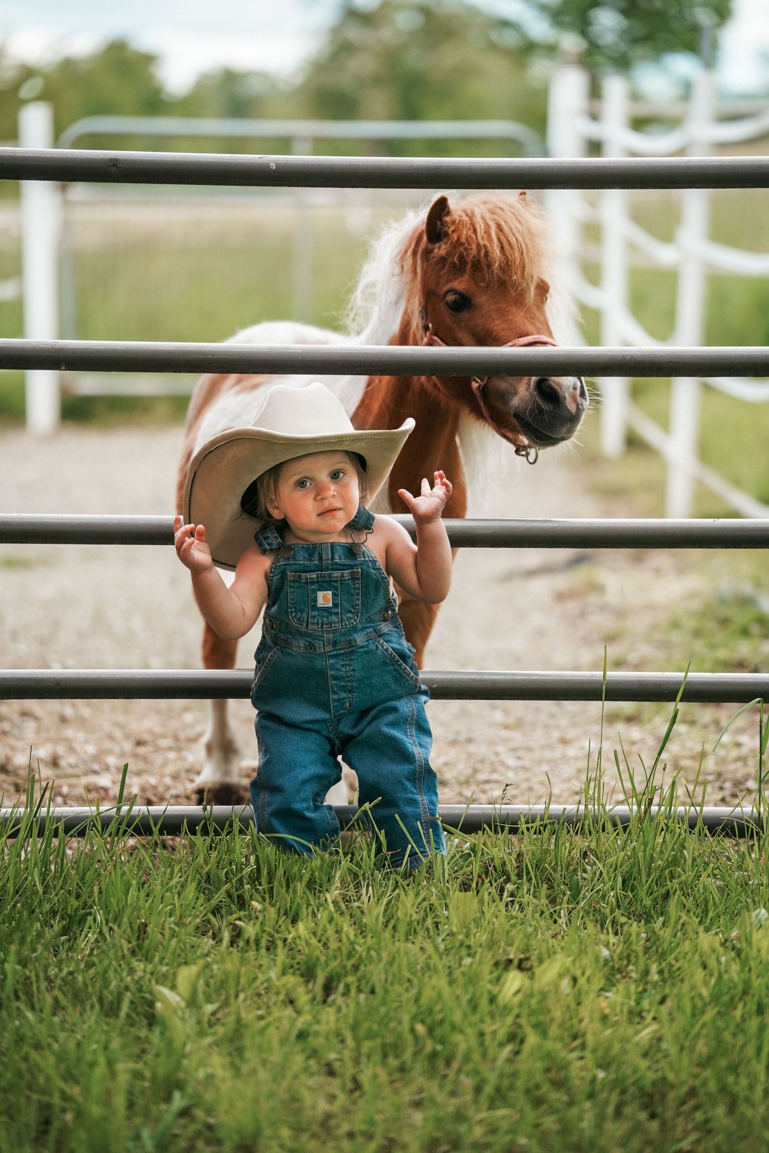 A sequence of images shows a toddler in teal overalls exploring near white fence rails in a grassy outdoor setting.
