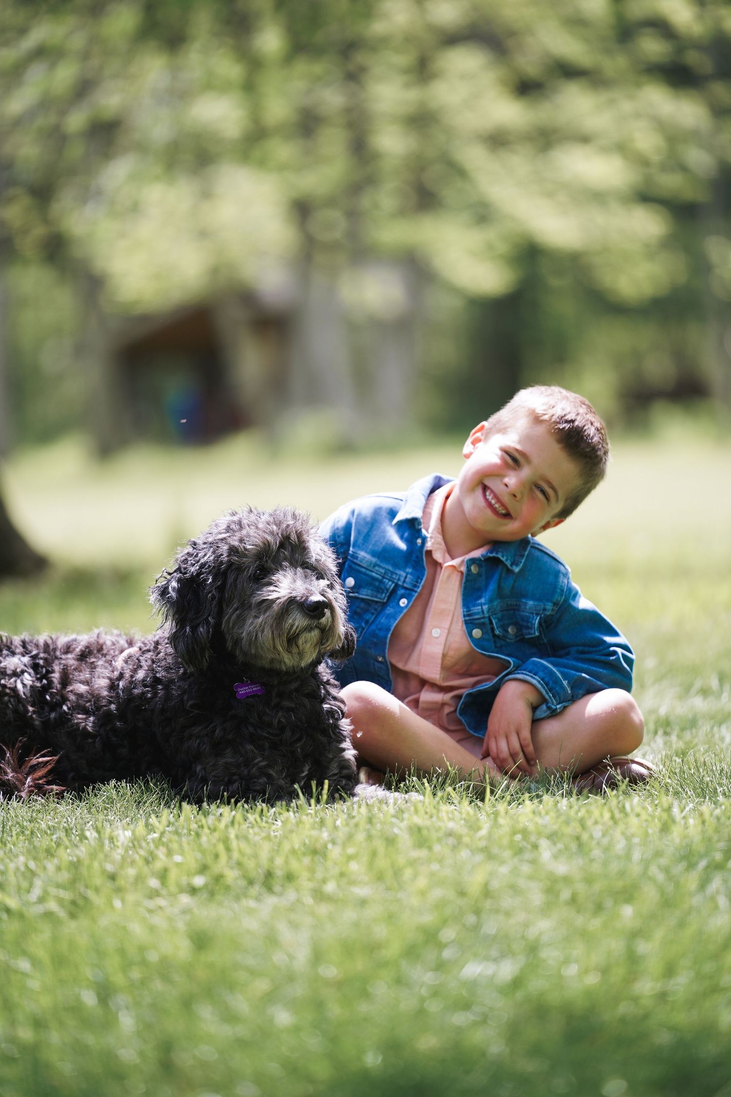 A fluffy black dog and child enjoying a sunny day together on the grass.