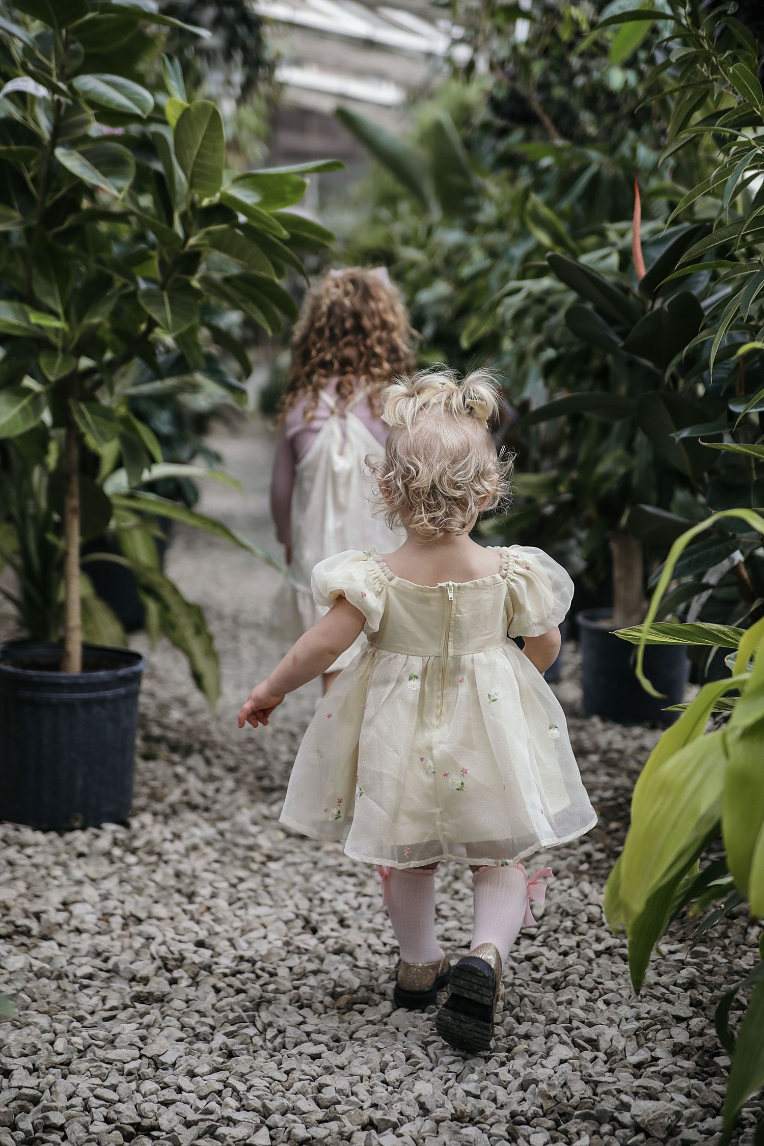 A small child in a white dress and bloomers explores a garden path lined with potted plants and stone pebbles.