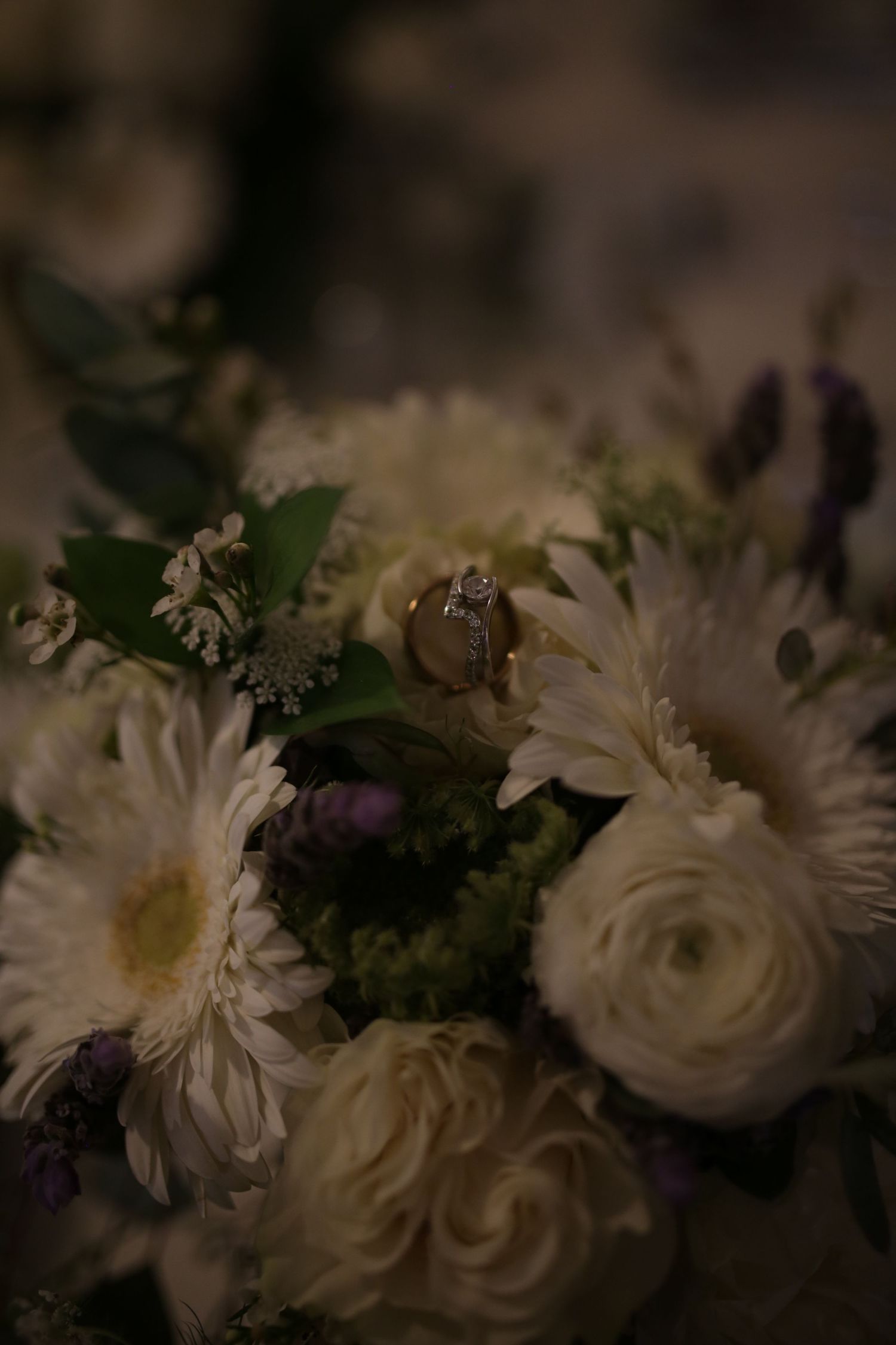 Close-up of a moody floral arrangement featuring white gerbera daisies and ranunculus in soft, muted lighting.