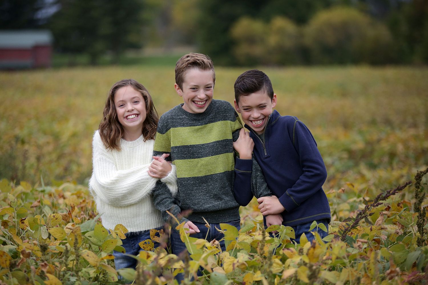 Three children laughing together while sitting in autumn foliage.  Family Photography in Medina Ohio.