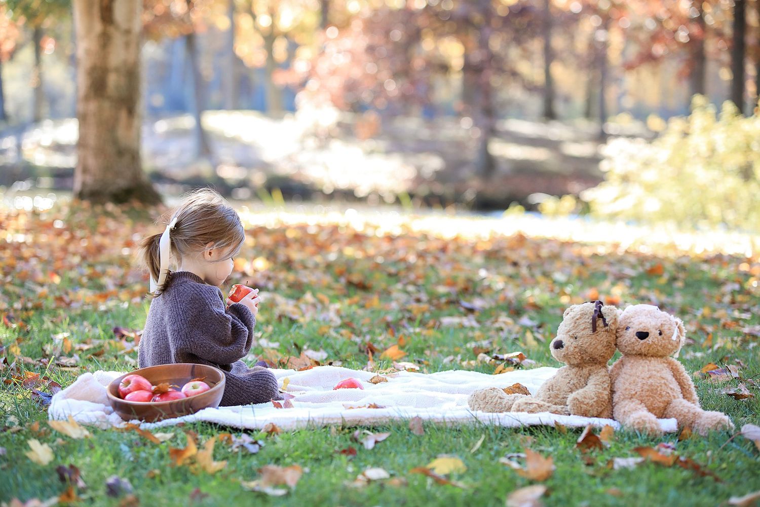 Child having picnic on blanket with teddy bears in autumn park setting.  Family Photography in Medina Ohio
