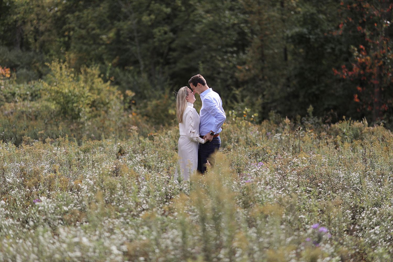 Seven romantic outdoor photos showing a couple embracing in a wildflower meadow during a golden sunset.