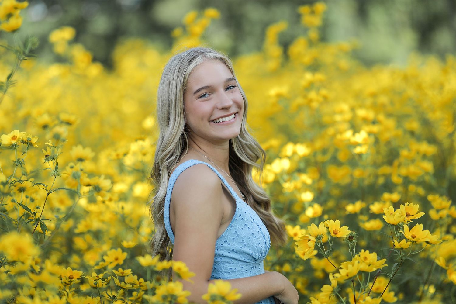 A person wearing a blue dress poses in a field of vibrant yellow wildflowers on a sunny day.