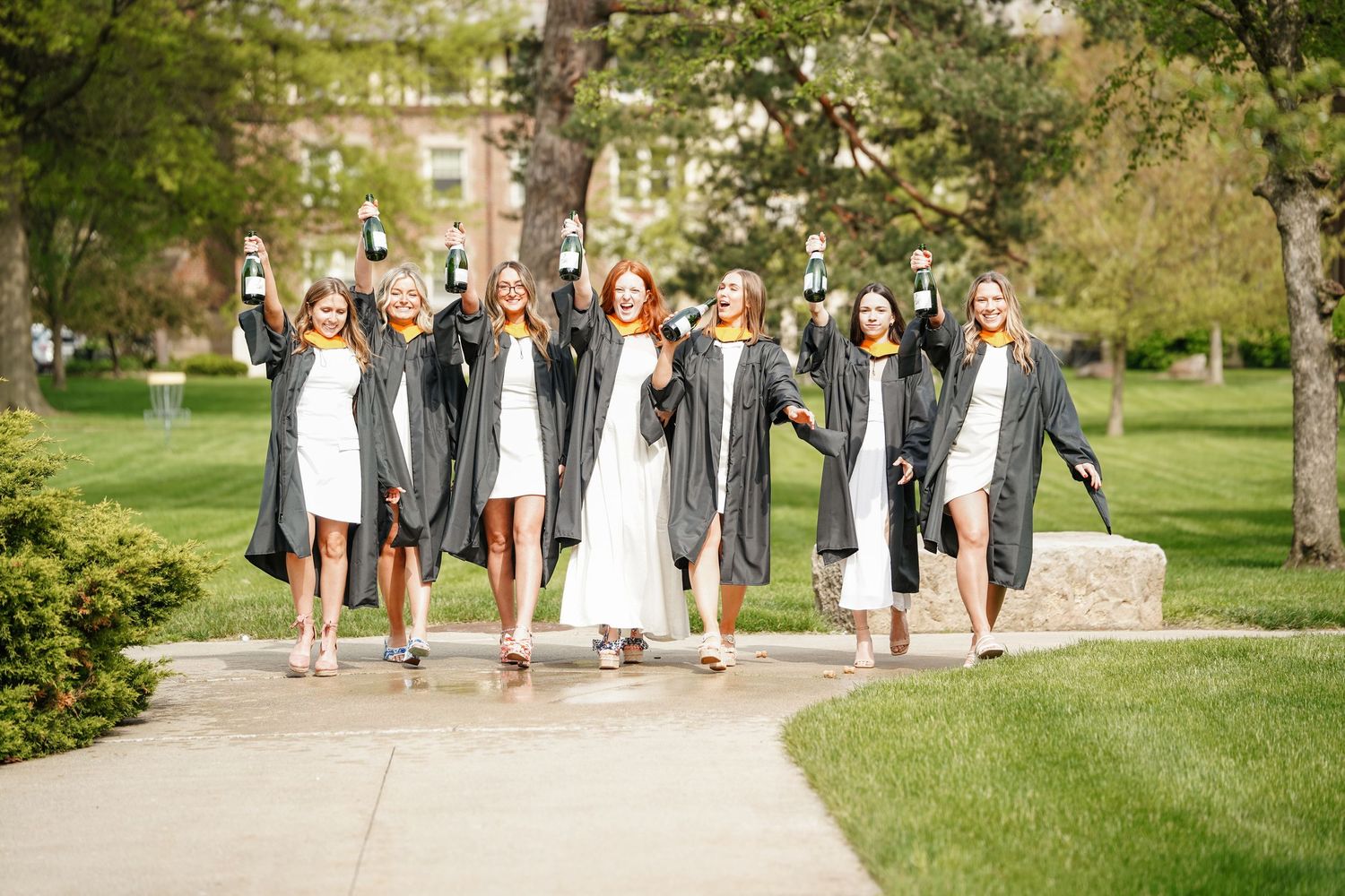 Wedding party wearing matching gray robes walks together down outdoor campus pathway in spring.