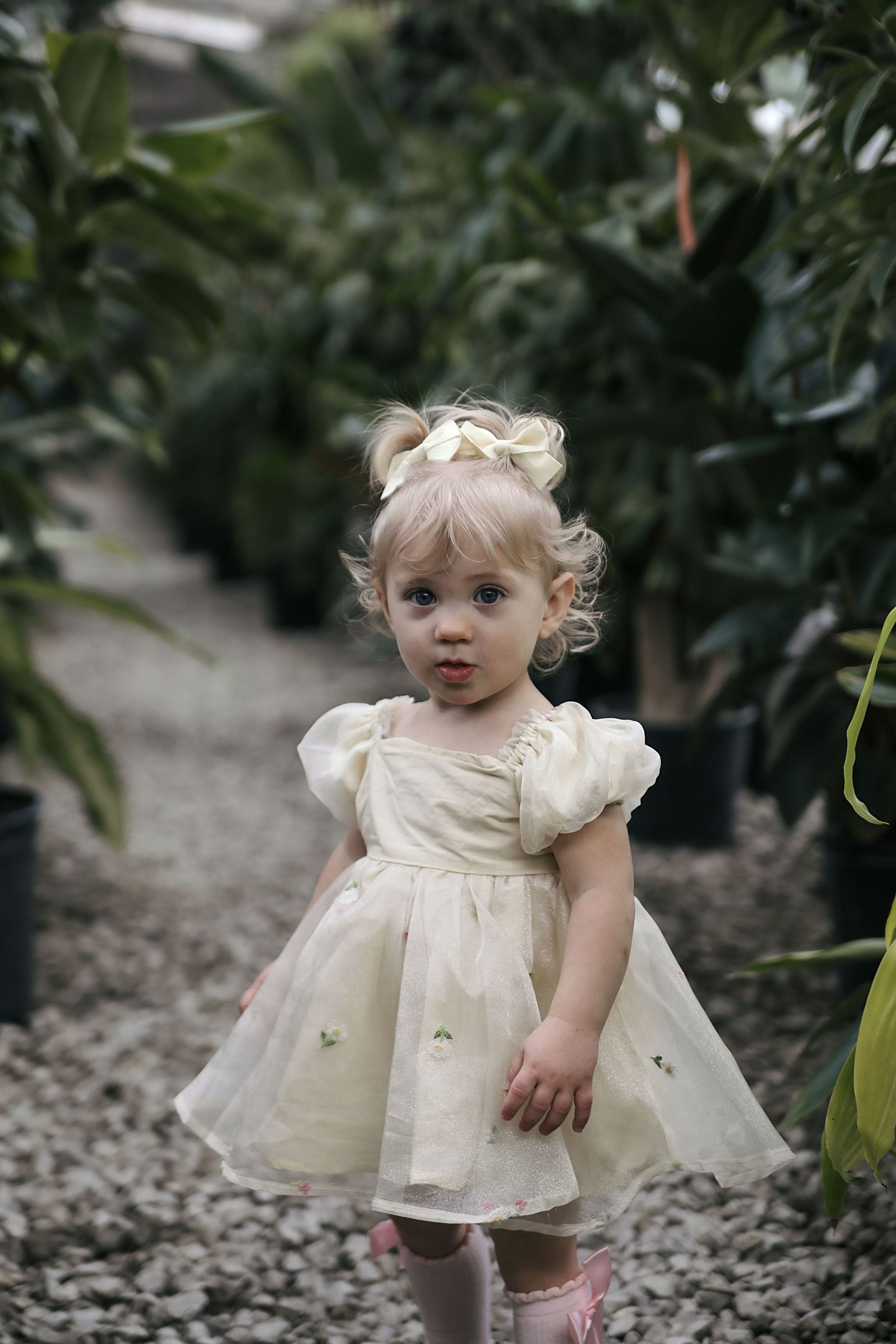 Small child wearing a white puffy-sleeved party dress stands on a gravel path surrounded by greenery in a garden.