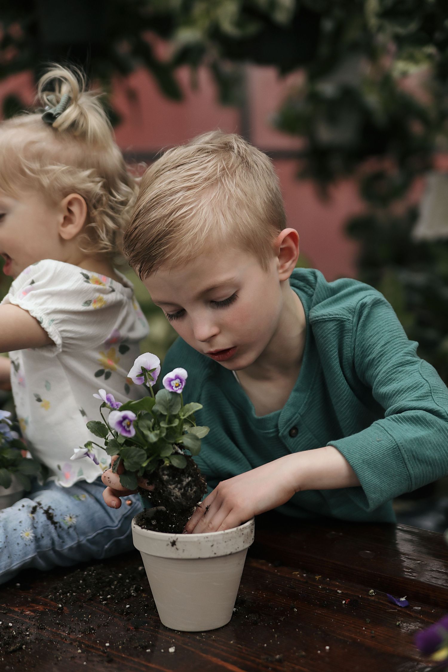 A child in a green sweater tends to purple pansies in a clay pot while sitting at a wooden table.
