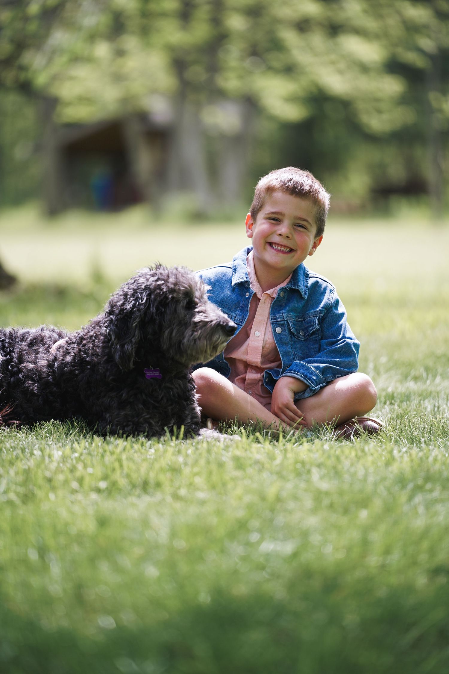 A happy child in a blue jacket sits in the grass with a large black shaggy dog on a sunny day.