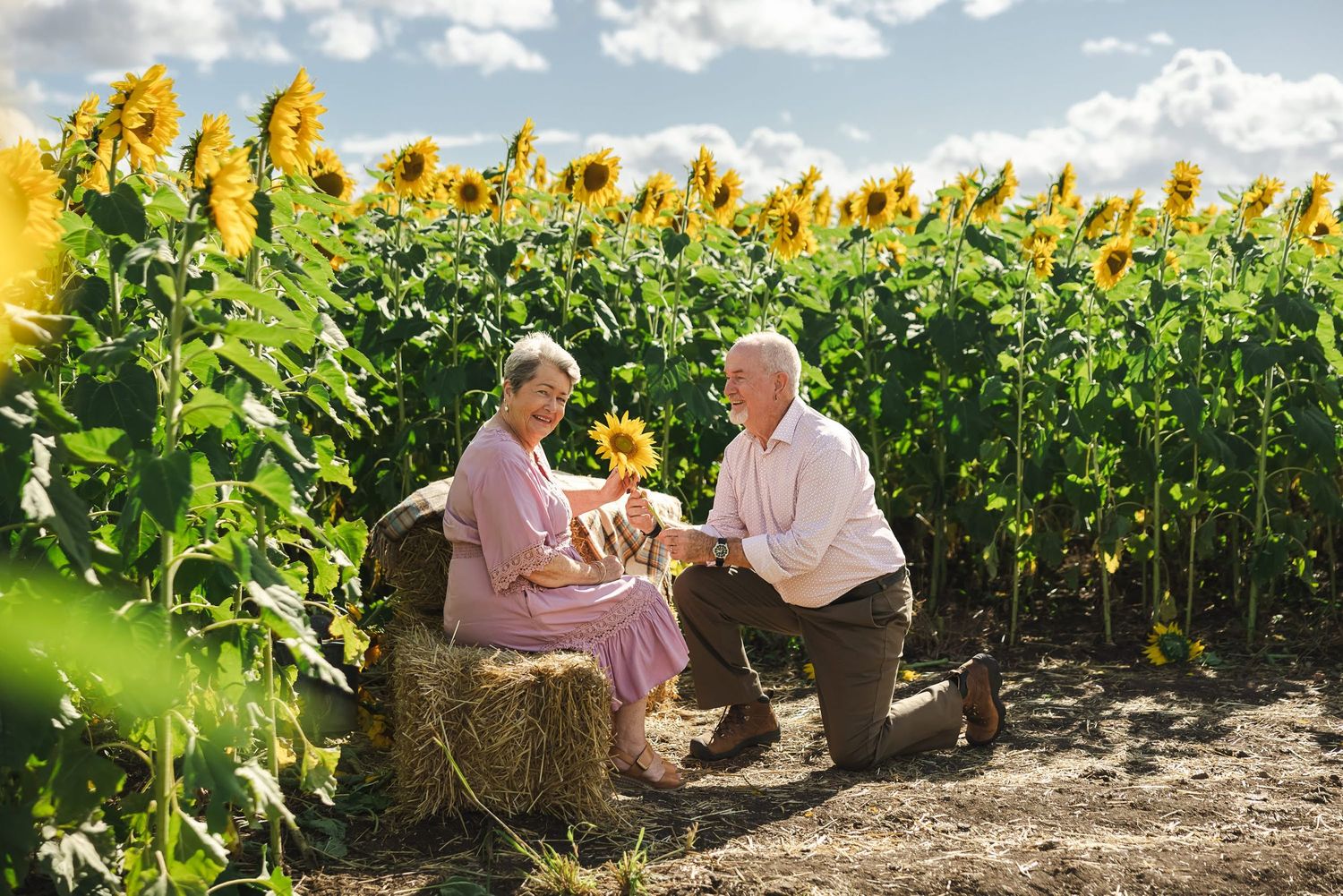 Two people enjoy a picnic surrounded by tall blooming sunflowers in a scenic field on a sunny day.