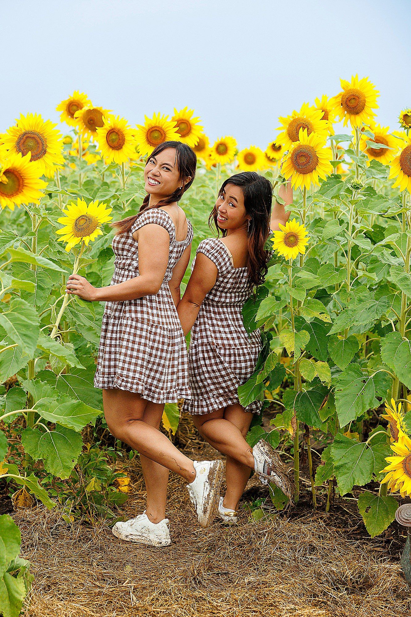 Two people in matching gingham dresses pose playfully in a vibrant field of tall blooming sunflowers.