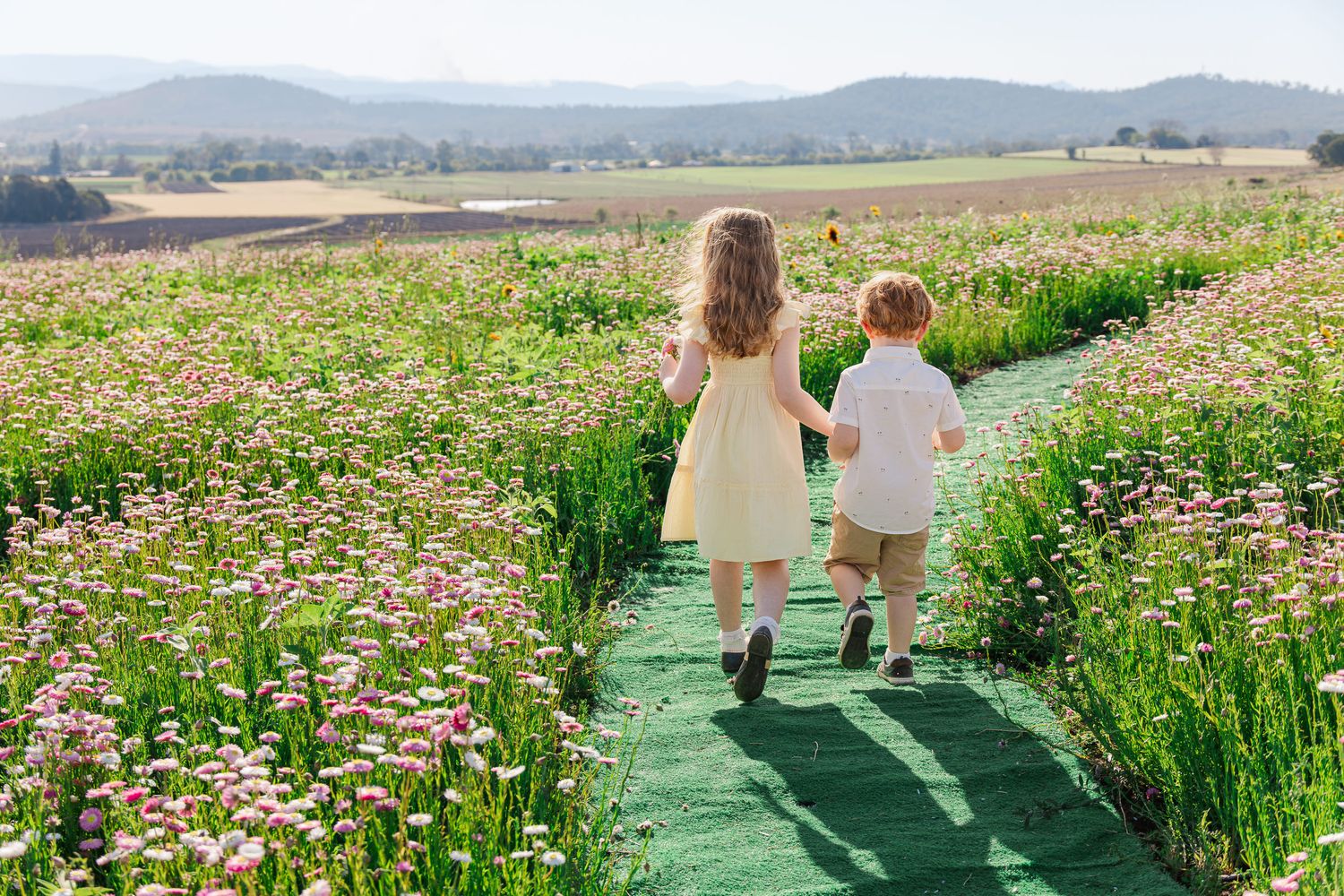 Two young children holding hands walking through a blooming flower field with mountain views on a sunny day.