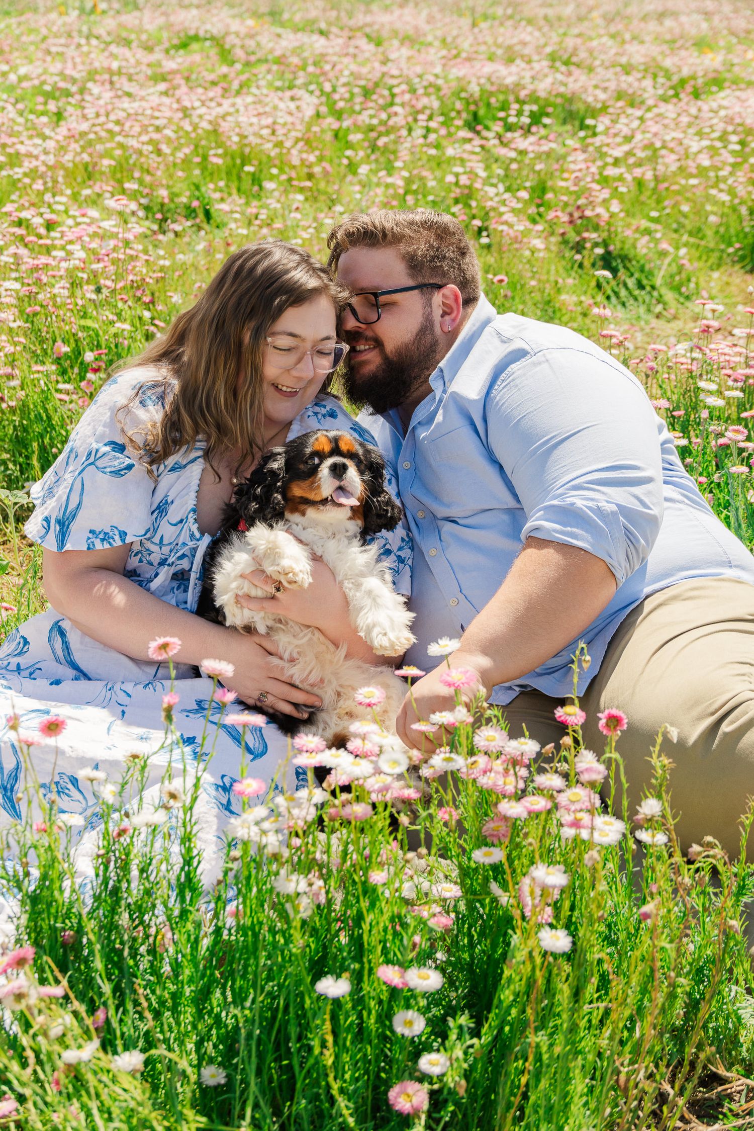 Couple sitting in a flower field holding a Cavalier King Charles Spaniel dog on a sunny day.