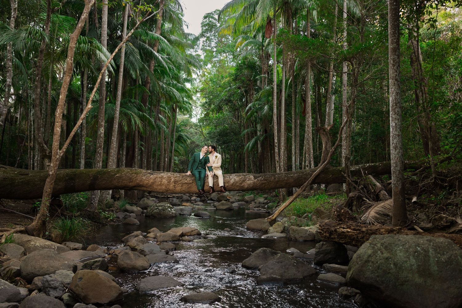 Couple embracing on a fallen log over a rocky stream surrounded by lush tropical rainforest trees.
