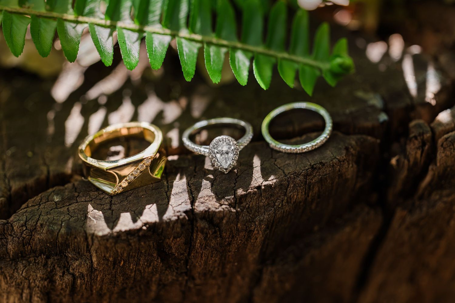 Three elegant wedding rings displayed on rustic wood with fern leaves, featuring a diamond halo engagement ring.