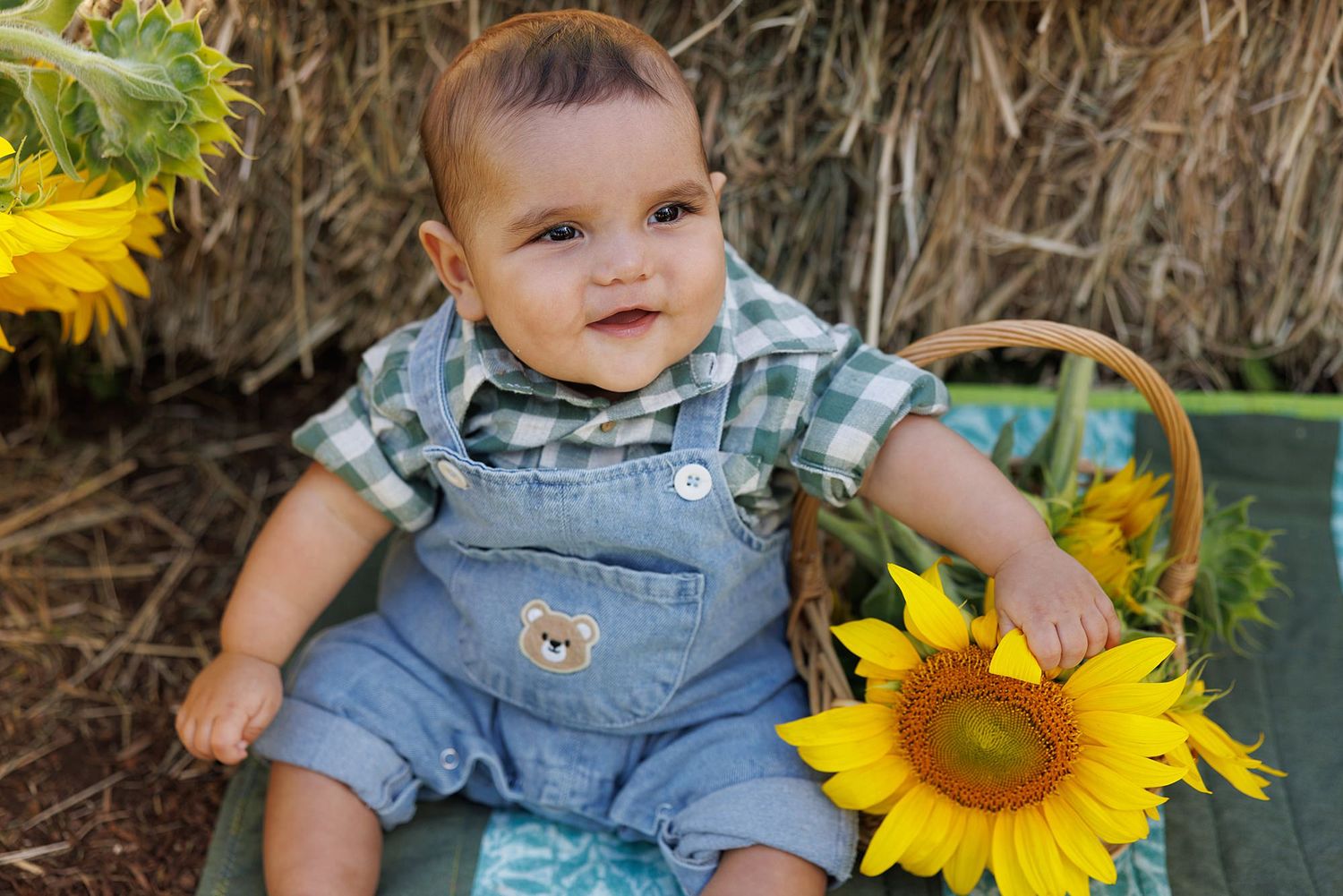 Baby wearing denim overalls sits in garden with bright yellow sunflowers on a summer day.