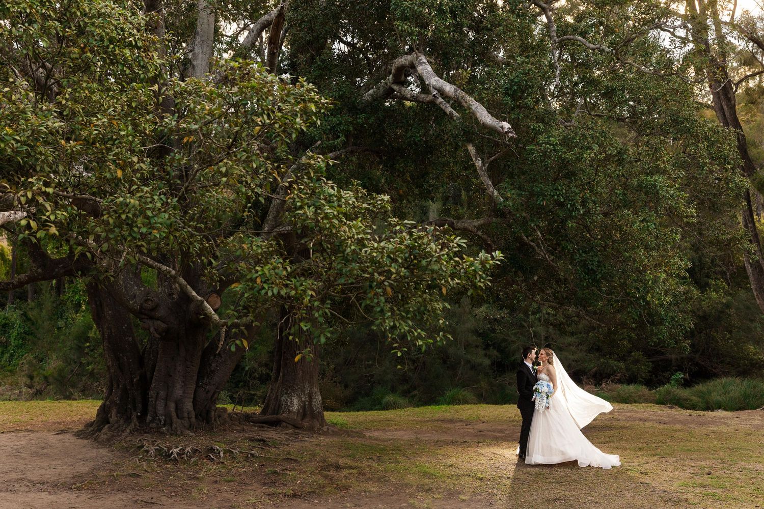 Bride and groom share a romantic kiss beneath a massive ancient tree in a lush garden wedding setting.